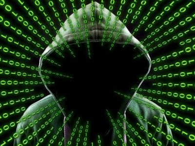 Россельхознадзор сообщил о DDoS-атаке на ВетИС