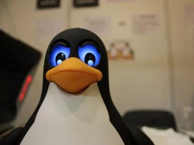 Три DoS-уязвимости затрагивают ядра Linux и FreeBSD