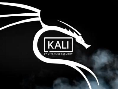 Официальная версия Kali Linux выпущена для Raspberry Pi 4