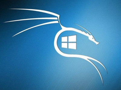 Новая версия Kali Linux умеет маскироваться под Windows 10