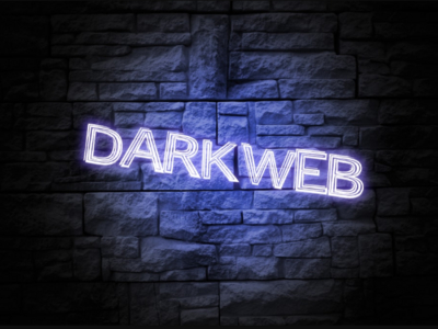 Хакер KingNull слил базу данных крупнейшего хостера дарквеба