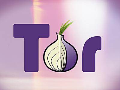 Дэвид Гольдшлаг: Роскомнадзор может заблокировать работу сети Tor
