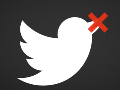 Роскомнадзор замедлил Twitter ценой собственного сайта и ресурса Госдумы