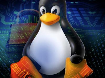 В ядре Linux нашли три уязвимости, которым уже около 15 лет