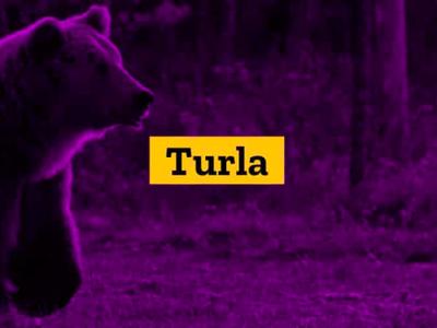 Группировка Turla использует новый бэкдор в атаках на США и Афганистан