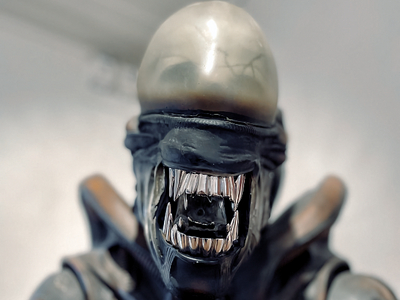 Авторы Android-трояна Xenomorph полностью автоматизировали кражу денег