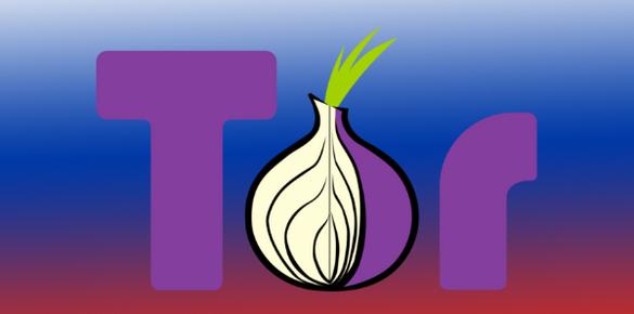 Разработчик тор браузера гирда windows tor browser bundle hyrda