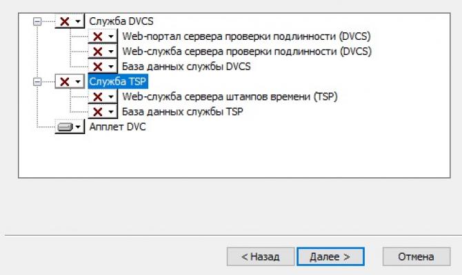 Выбор компонентов установки Litoria DVCS