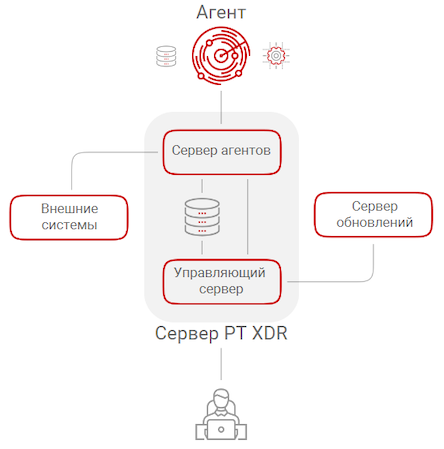 Архитектура PT XDR Архитектура PT XDR