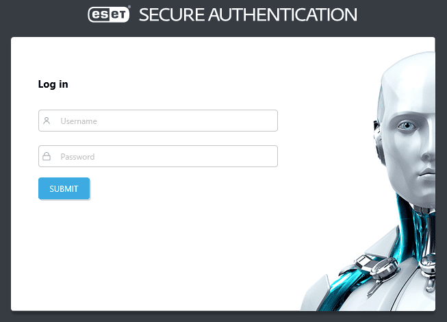 Процесс авторизации в консоли ESA Web Console Процесс авторизации в консоли ESA Web Console
