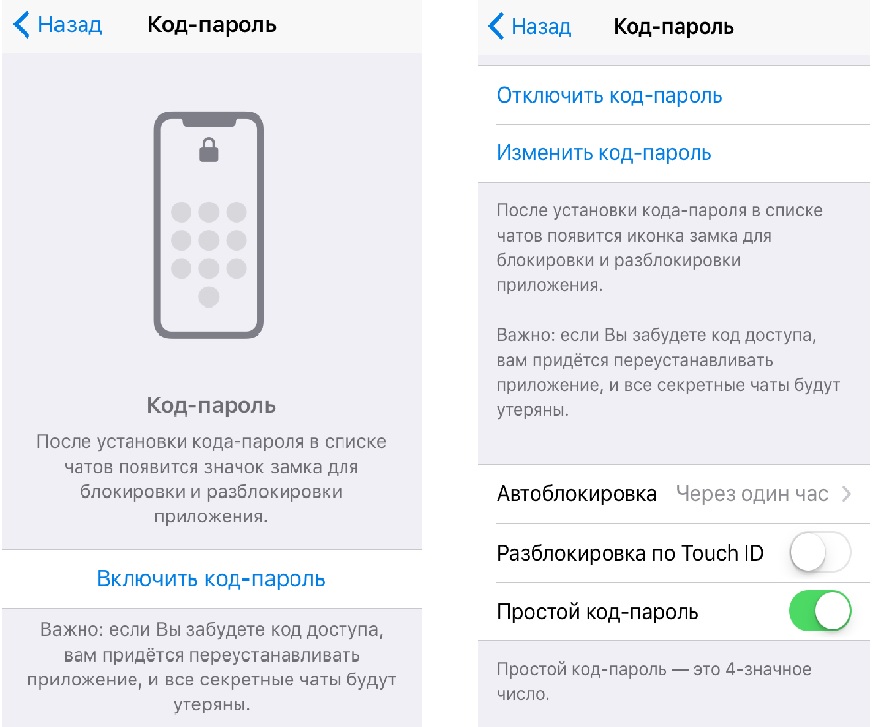 Код-пароль и TouchIDдля доступа к приложению в Telegram Код-пароль и TouchIDдля доступа к приложению в Telegram